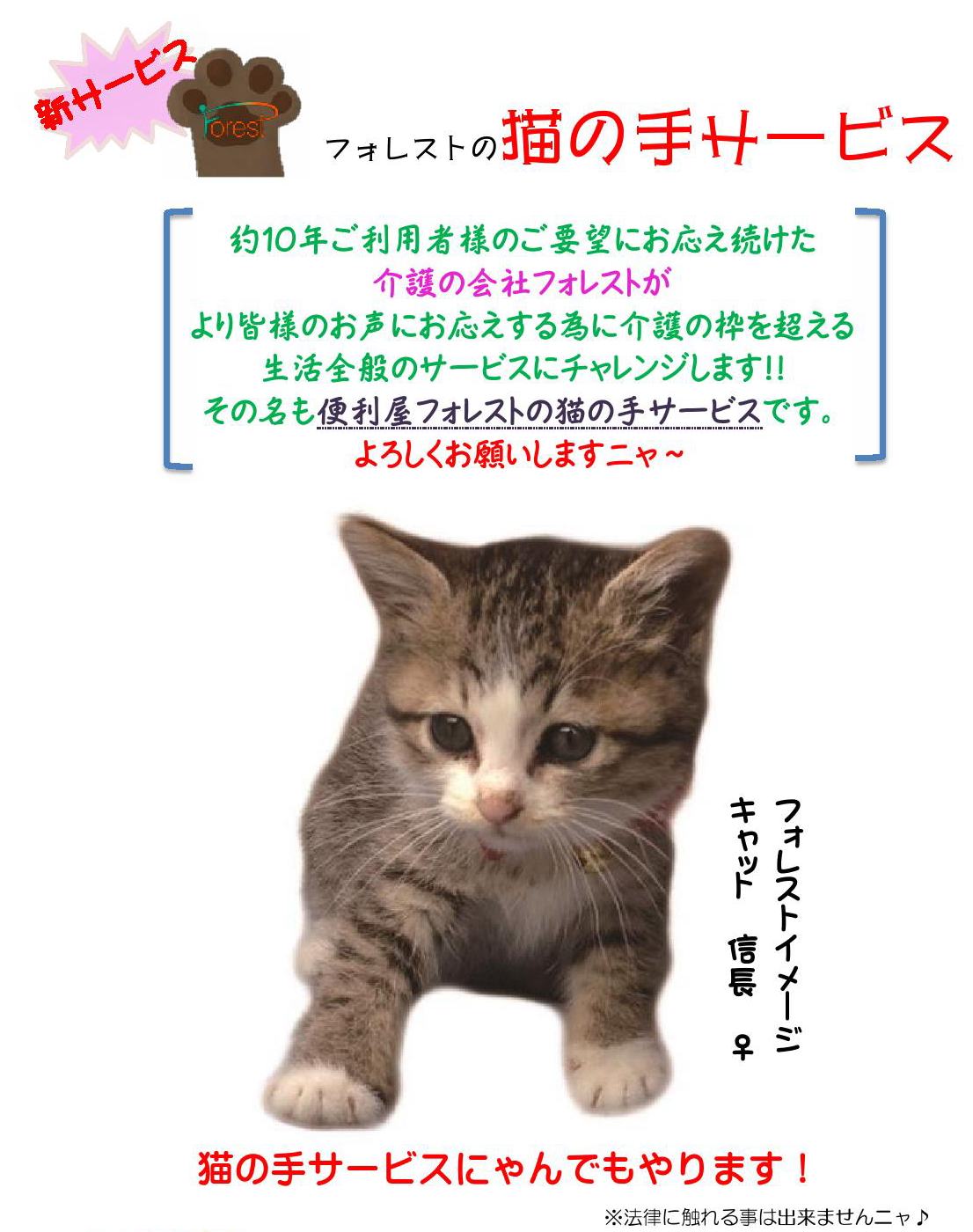 フォレスト 信長部長の猫の手サービス